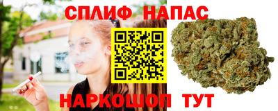 тгк Тула