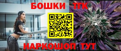 тгк Тула
