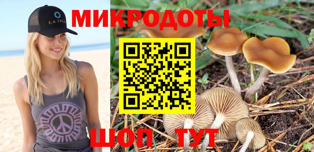 Братск  Псилоцибиновые грибы Magic Shrooms  Вход с VPN 