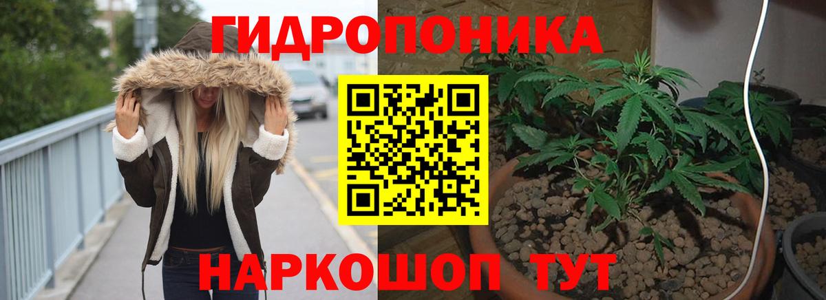 Канабис AK-47  Вход с VPN  Конопля LSD WEED  Братск  Марихуана ГИДРОПОН 